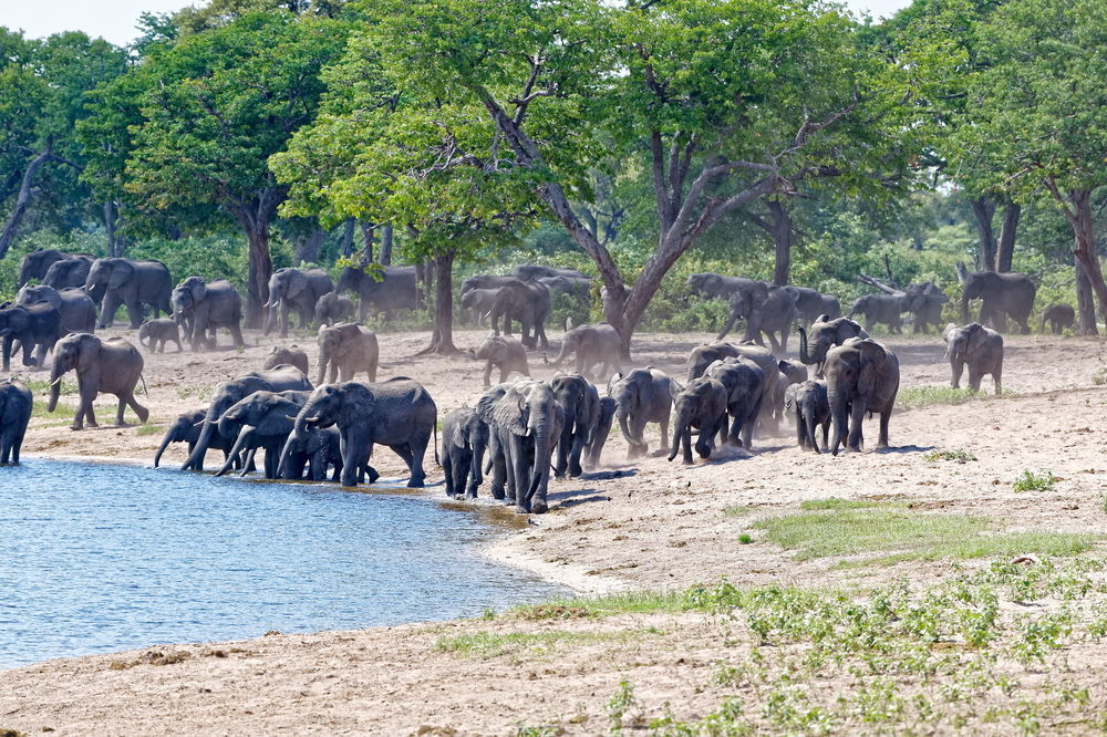 Nambwa Tented Lodge Kongola Esterno foto