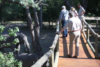 Nambwa Tented Lodge Kongola Esterno foto